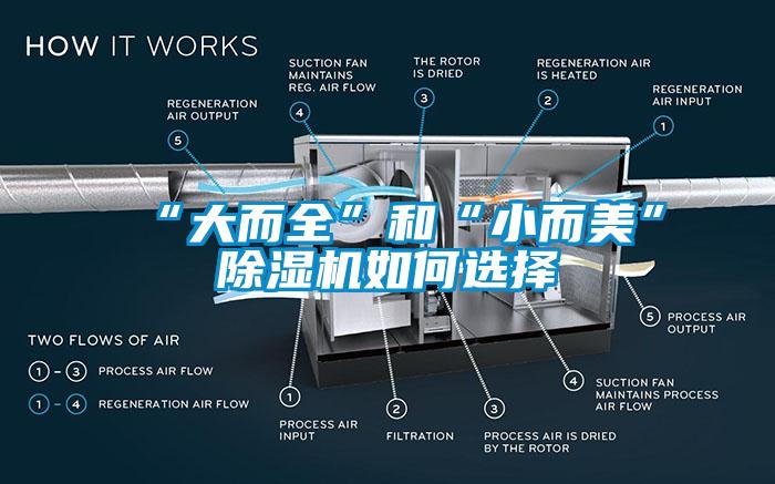 “大而全”和“小而美”草莓视频APP在线如何选择