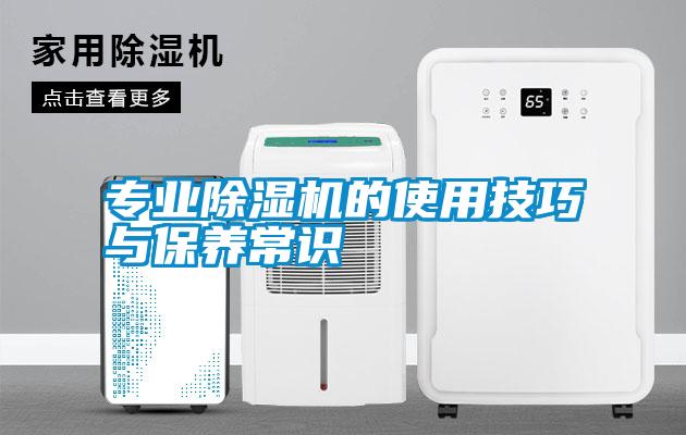 专业草莓视频APP在线的使用技巧与保养常识