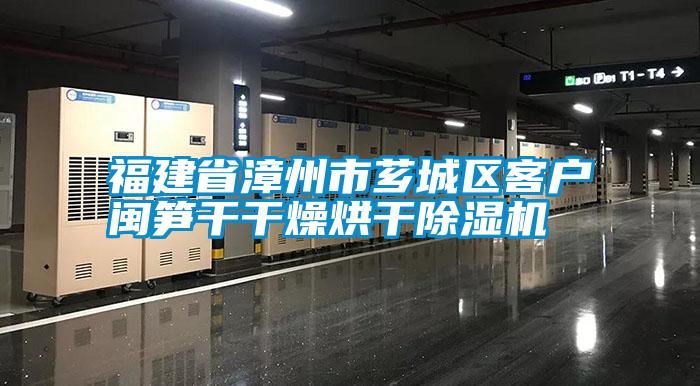 福建省漳州市芗城区客户闽笋干干燥烘干草莓视频APP在线