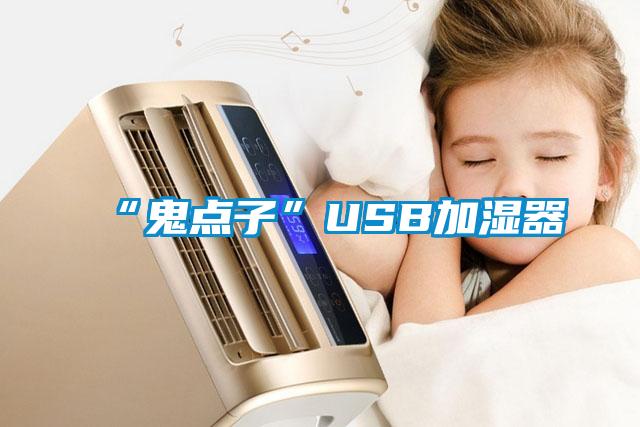 “鬼点子”USB加湿器