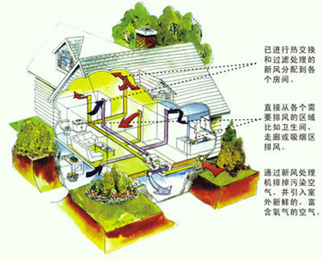 工业草莓视频APP在线厂家