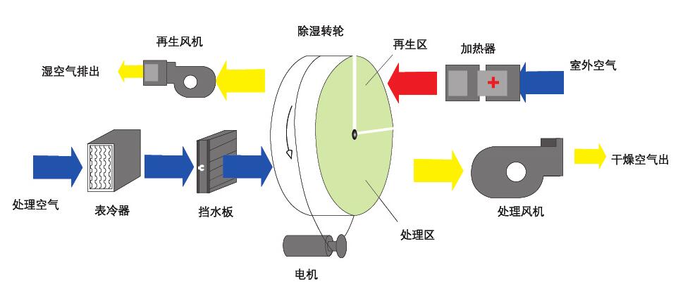 转轮草莓视频APP在线原理