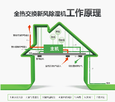 工业草莓视频APP在线厂家