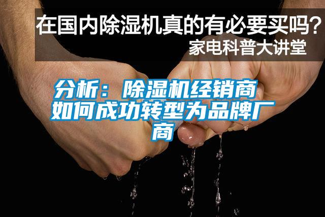 分析：草莓视频APP在线经销商 如何成功转型为品牌厂商