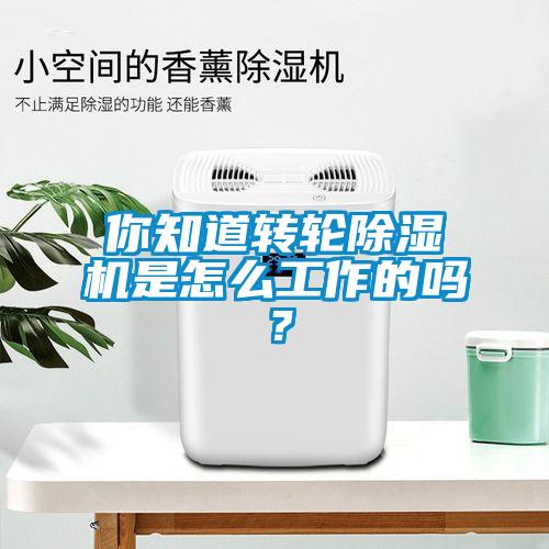 你知道转轮草莓视频APP在线是怎么工作的吗？