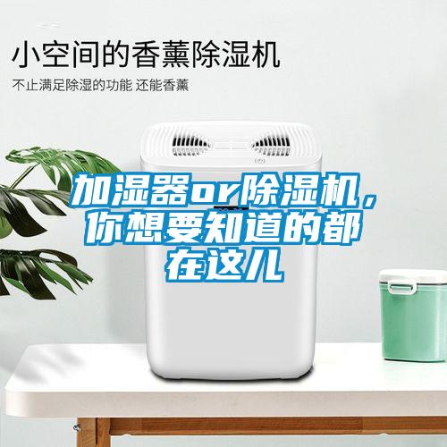 加湿器or草莓视频APP在线，你想要知道的都在这儿