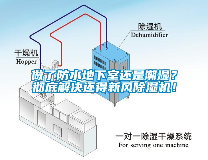 做了防水地下室还是潮湿？彻底解决还得新风草莓视频APP在线！