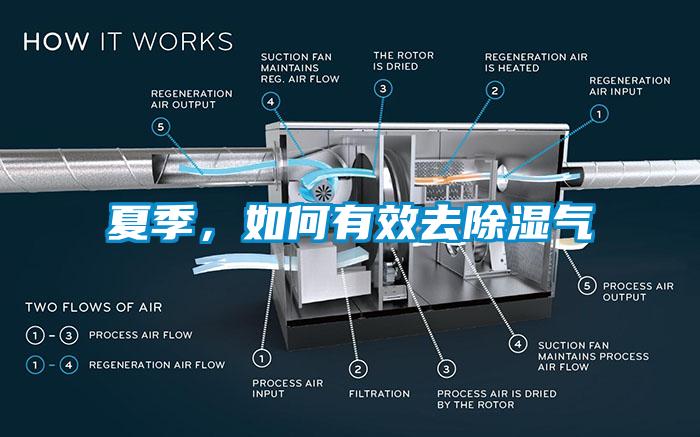 夏季，如何有效去除湿气