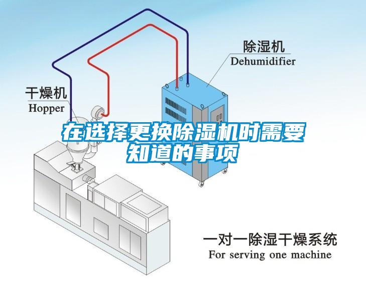 在选择更换草莓视频APP在线时需要知道的事项