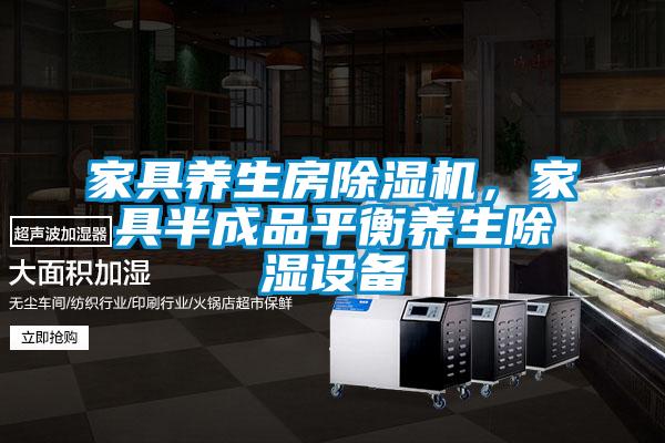 家具养生房草莓视频APP在线，家具半成品平衡养生除湿设备