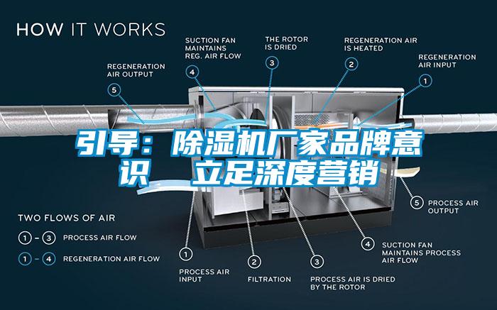 引导：草莓视频APP在线厂家品牌意识  立足深度营销