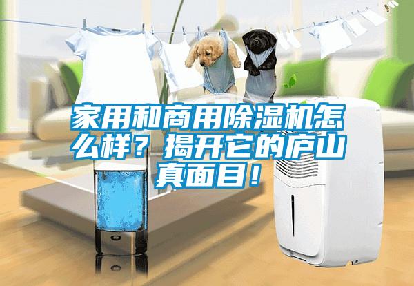 家用和商用草莓视频APP在线怎么样？揭开它的庐山真面目！