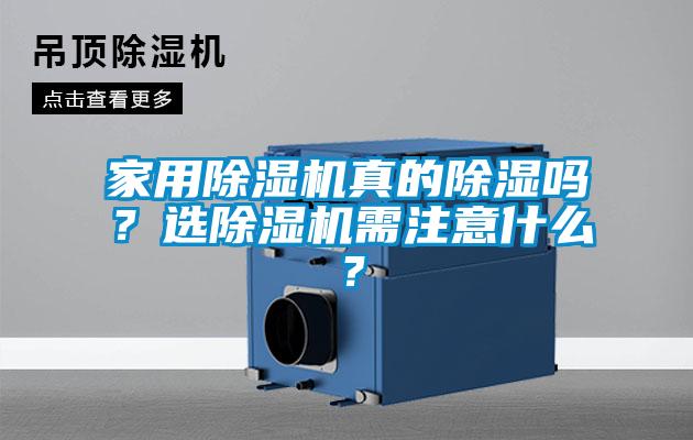 家用草莓视频APP在线真的除湿吗？选草莓视频APP在线需注意什么？