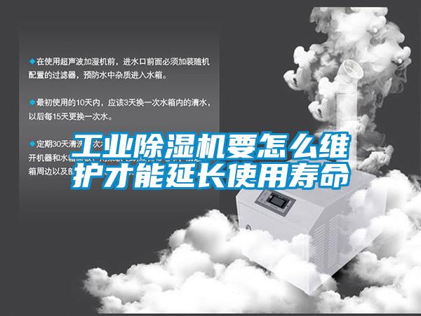 工业草莓视频APP在线要怎么维护才能延长使用寿命