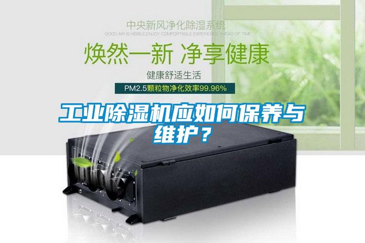 工业草莓视频APP在线应如何保养与维护？