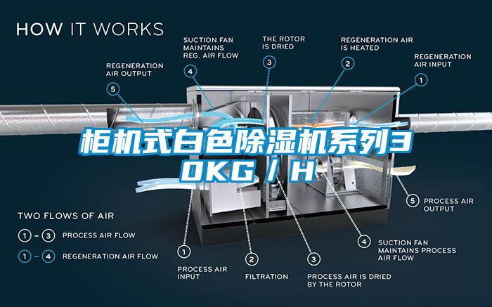 柜机式白色草莓视频APP在线系列30KG／H