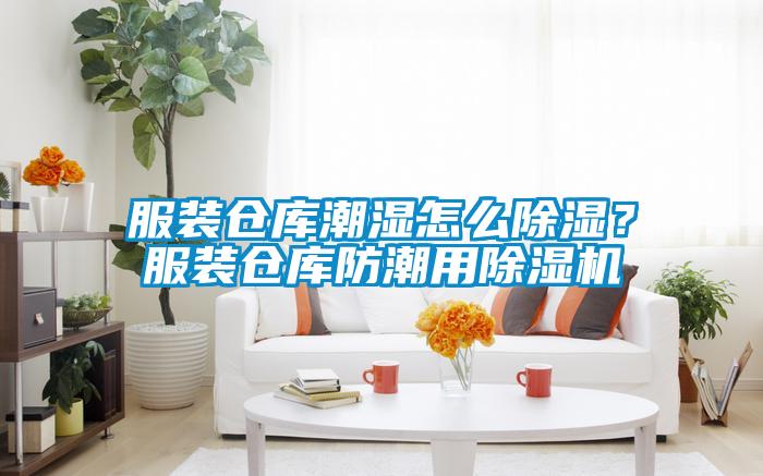 服装仓库潮湿怎么除湿？服装仓库防潮用草莓视频APP在线