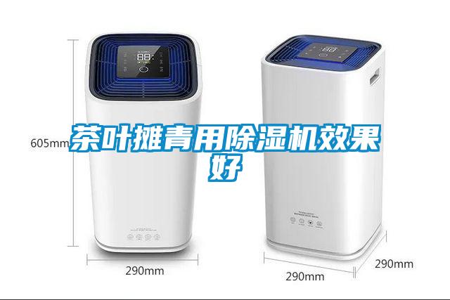 茶叶摊青用草莓视频APP在线效果好