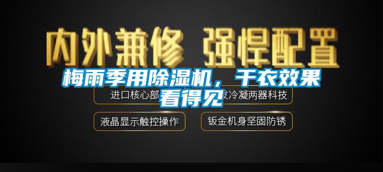 梅雨季用草莓视频APP在线，干衣效果看得见