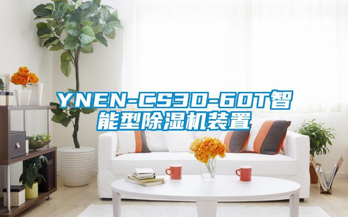 YNEN-CS3D-60T智能型草莓视频APP在线装置