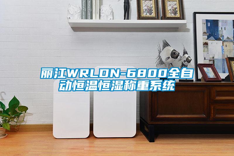 丽江WRLDN-6800全自动恒温恒湿称重系统