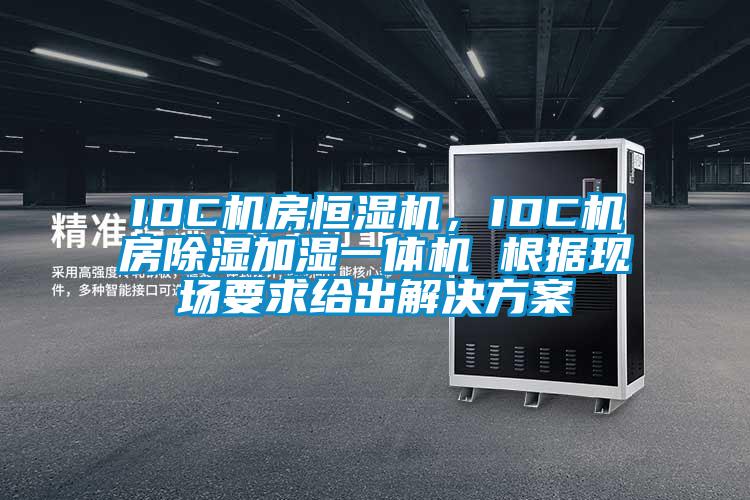 IDC机房恒湿机，IDC机房除湿加湿一体机 根据现场要求给出草莓视频下载色版