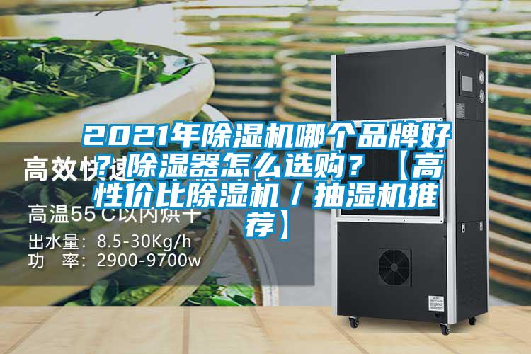 2021年草莓视频APP在线哪个品牌好？除湿器怎么选购？【高性价比草莓视频APP在线／抽湿机推荐】