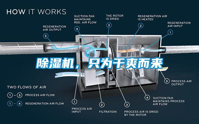 草莓视频APP在线，只为干爽而来