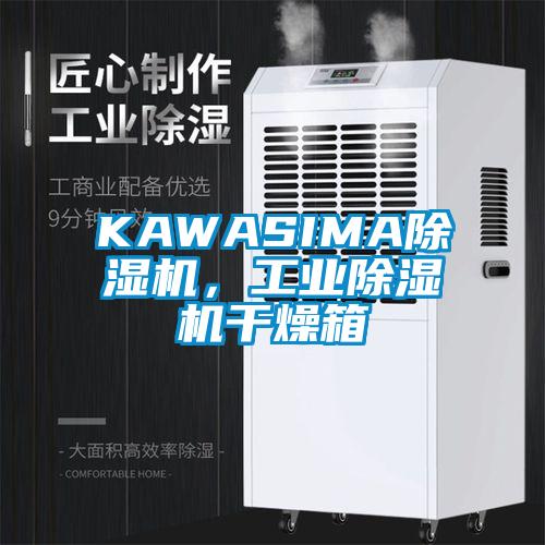 KAWASIMA草莓视频APP在线，工业草莓视频APP在线干燥箱