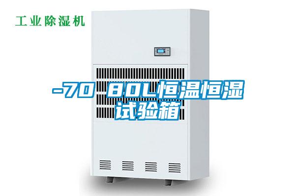 -70℃80L恒温恒湿试验箱