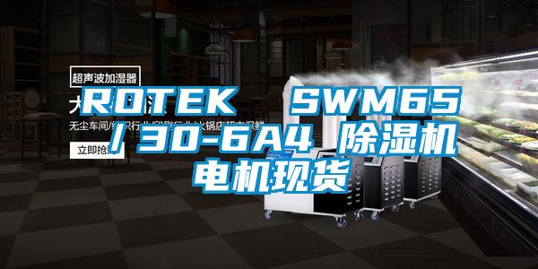 ROTEK  SWM65／30-6A4 草莓视频APP在线电机现货