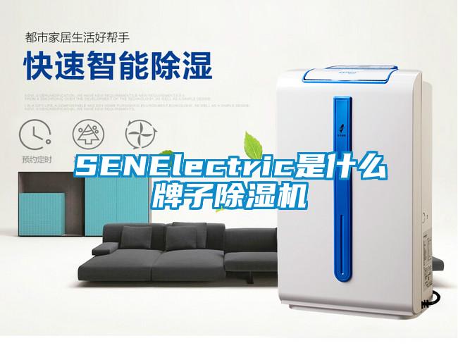 SENElectric是什么牌子草莓视频APP在线