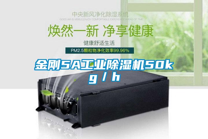 金刚5A工业草莓视频APP在线50kg／h