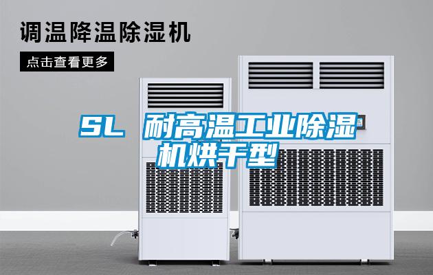 SL 耐高温工业草莓视频APP在线烘干型