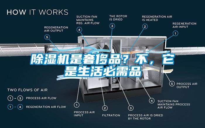 草莓视频APP在线是奢侈品？不，它是生活必需品