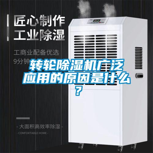 转轮草莓视频APP在线广泛应用的原因是什么？