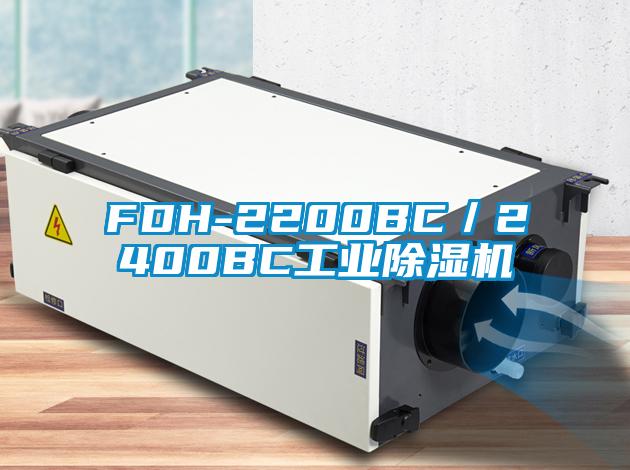 FDH-2200BC／2400BC工业草莓视频APP在线