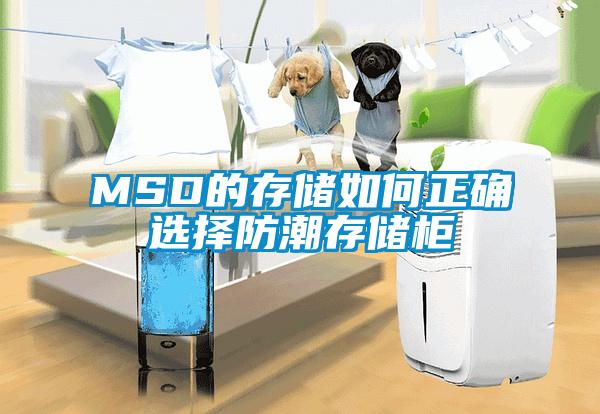 MSD的存储如何正确选择防潮存储柜