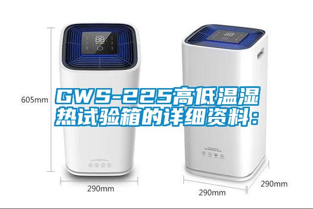 GWS-225高低温湿热试验箱的详细资料：