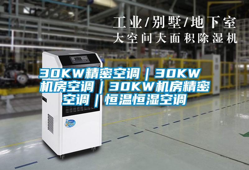 30KW精密空调｜30KW 机房空调｜30KW机房精密空调｜恒温恒湿空调