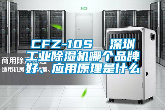 CFZ-10S  深圳工业草莓视频APP在线哪个品牌好、应用原理是什么