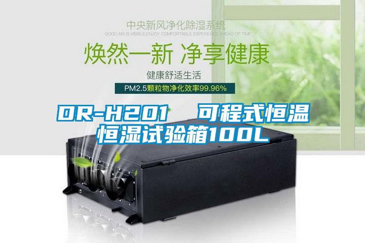 DR-H201  可程式恒温恒湿试验箱100L