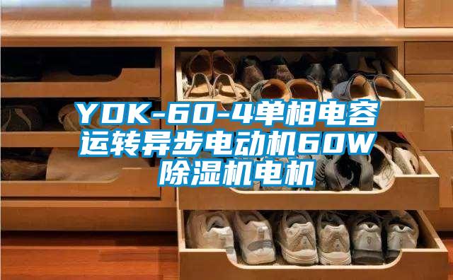 YDK-60-4单相电容运转异步电动机60W 草莓视频APP在线电机