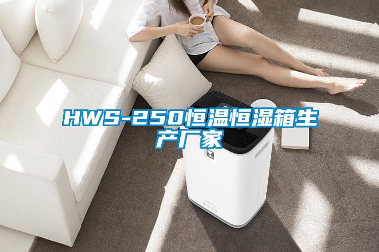 HWS-250恒温恒湿箱生产厂家