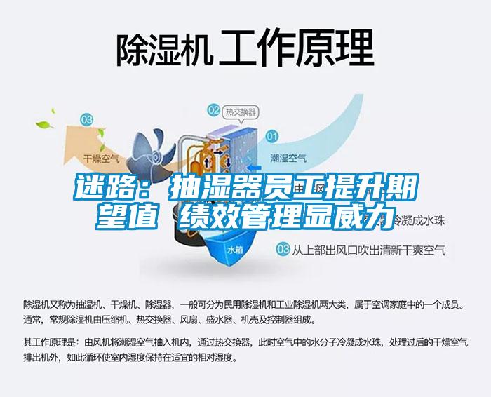 迷路：抽湿器员工提升期望值 绩效管理显威力