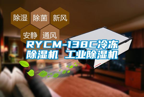 RYCM-138C冷冻草莓视频APP在线 工业草莓视频APP在线