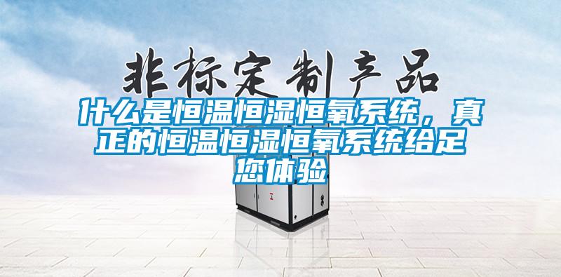 什么是恒温恒湿恒氧系统，真正的恒温恒湿恒氧系统给足您体验