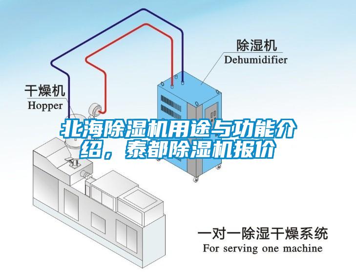 北海草莓视频APP在线用途与功能介绍，泰都草莓视频APP在线报价