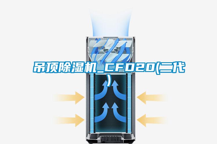 吊顶草莓视频APP在线_CFD20(二代)