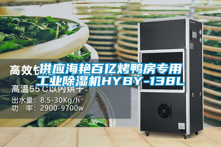 供应海艳百亿烤鸭房专用工业草莓视频APP在线HYBY-138L